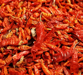 Piment Niger